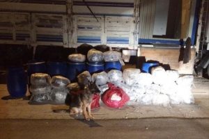 Varillerin i&ccedil;inde 190 kilo esrar!