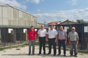 Bursa Gemik hayvan barınağı yenileniyor