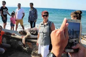 &Ouml;l&uuml; 'Caretta Caretta' G&uuml;zelbah&ccedil;e sahiline vurdu