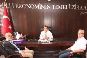Bursa'da toplulaştırmayı bekleyen 45 bin hektar arazi var