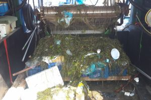 Bursa Gemlik K&ouml;rfezi deniz s&uuml;p&uuml;rgeleriyle temizleniyor
