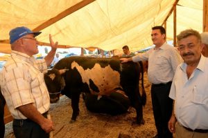 Bursa Osmangazi kurban bayramına hazır