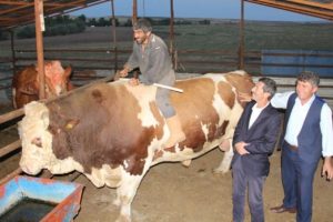 Tam 2 bin 207 kilo