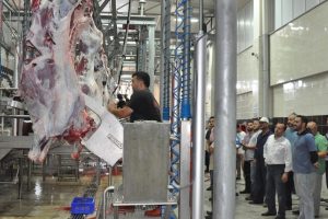 Bursa'da kasaplar sertifikalarını aldı