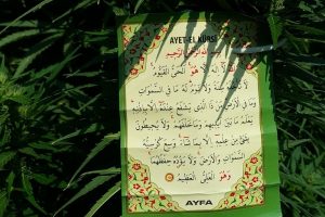 Bunu da yapmışlar