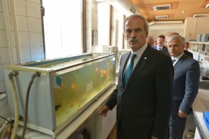 İ&ccedil;me suyu zehirlenmelerine Bursa'dan "Japon balığı" &ouml;rneği