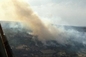 Pamukkale'de orman yangını