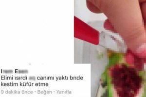 Papağanın kalbini s&ouml;k&uuml;p Facebook'tan paylaştı!