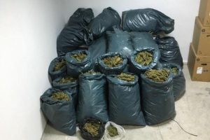 Semaverde 60 bin liralık uyuşturucu ele ge&ccedil;irildi