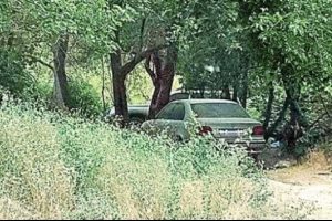 Cudi Dağı'nda PKK'nın katliam otoparkı