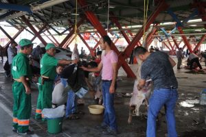 Bursa Osmangazi'de kurbanlar temiz ve sağlıklı ortamda kesildi