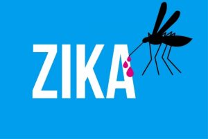 İsvi&ccedil;re'de Zika vir&uuml;s&uuml; tehdidi
