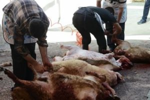Kurban keserken kalp krizi ge&ccedil;iren kişi &ouml;ld&uuml;