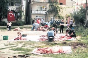 Kurban Bayramı'nda 'Kist hidatik'e dikkat edilmeli
