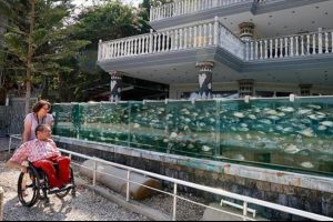 Balıklı K&ouml;şk'&uuml;n tek balığının maliyeti 20 bin lira