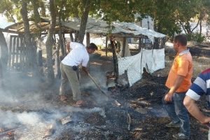 &Ccedil;anakkale'de orman yangını