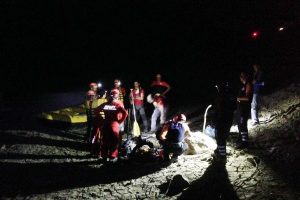 Bursa'da bataklığa saplanan k&ouml;peğe dev kurtarma operasyonu