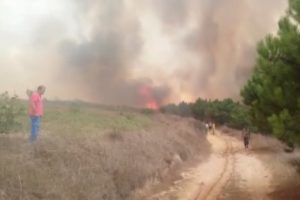 Karab&uuml;k'te orman yangını