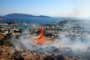 Bodrum'da tarihi tepe yandı
