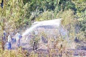 Bandırma'da demir yolu yanında yangın paniği