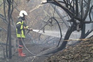 Ot yangını akaryakıt istasyonuna sı&ccedil;ramadan s&ouml;nd&uuml;r&uuml;ld&uuml;