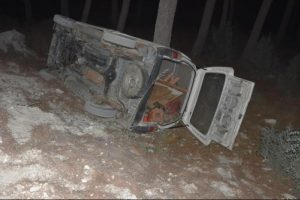 Kamyonet şarampole devrildi: 1 yaralı