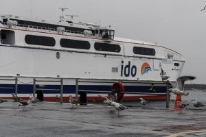 İDO'nun bu seferleri iptal edildi