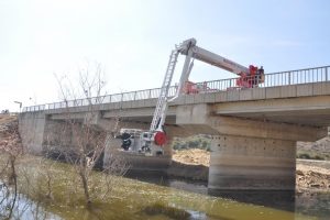 Bursa'da baykuşu kurtarmak i&ccedil;in yol trafiğe kapatıldı