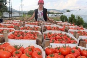 Bu k&ouml;yde resmen para basıyorlar!