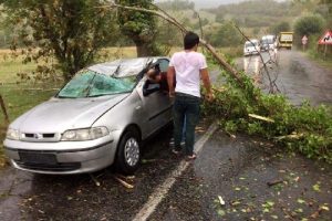 Seyir halindeki otomobilin &uuml;zerine ağa&ccedil; devrildi: 4 yaralı