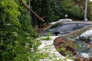 Meteoroloji'den fırtına uyarısı