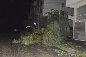D&uuml;zce'de hortum: 3 yaralı