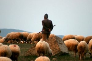 PKK'lı ter&ouml;ristler 67 yaşındaki &ccedil;obanı &ouml;ld&uuml;rd&uuml;