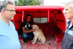 Kaybettiği k&ouml;peğini tesad&uuml;fen izlediği g&ouml;r&uuml;nt&uuml;lerde buldu