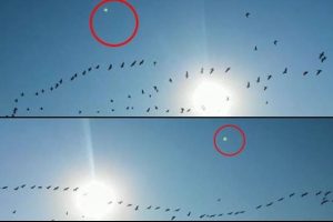 G&ouml;&ccedil; yolundaki ışık UFO mu?