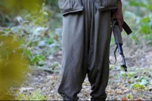 Bitlis'te 2 ter&ouml;rist yakalandı