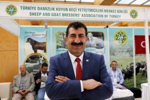 T&uuml;rkiye'de koyun ve ke&ccedil;i sayısı 10 yılda 14 milyon arttı