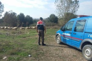 Bursa'da yaşlı adam borcunu &ouml;demeyen &ccedil;obanın kafasına sıktı