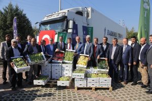 Bursa Yenişehir biberi Hollanda yolunda