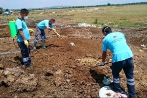 Bursa'daki kurban kesim yerleri ila&ccedil;lanıyor