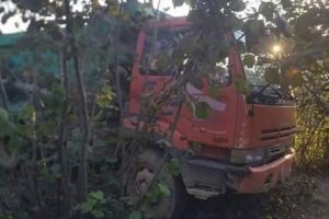 Yoldan &ccedil;ıkan kamyon fındık bah&ccedil;esine u&ccedil;tu: 1 &ouml;l&uuml;