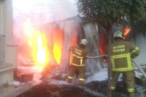 Ayvalık'ta mahalle sakinleri yangınla uyandı