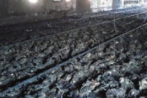 Tavuk &ccedil;iftliği yandı, 21 bin tavuk telef oldu