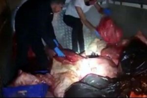 Et ve halı arasında esrar sevkiyatına d&ouml;rt tutuklama