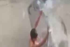 Nehirde 'balık akını' kameraya yansıdı