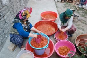 C vitamini deposu kuşburnunun lezzet yolculuğu