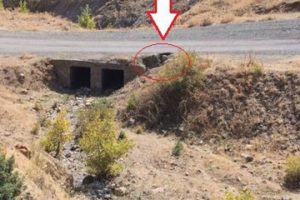 Tend&uuml;rek Dağı'nda operasyon s&uuml;r&uuml;yor