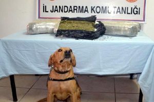 Elazığ'da yolcu treninde uyuşturucu operasyonu