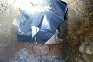 Ortalığı kana bulayacaklardı