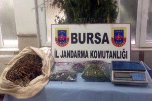 Bursa Mustafakemalpaşa'da 3 bu&ccedil;uk kilo esrar ele ge&ccedil;irildi